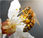Annonce ansehen