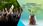 Annonce ansehen