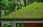 View this ad