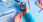 View this ad