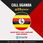 View this ad